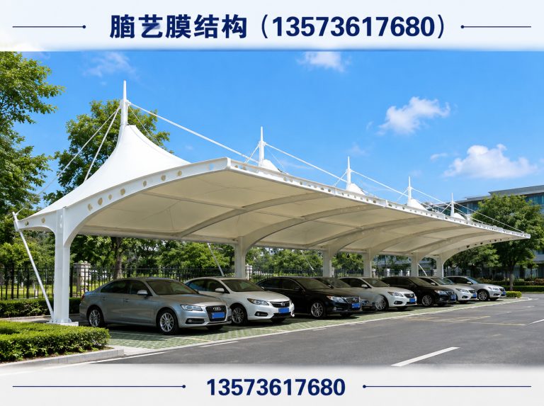 坊子区膜结构工程展示图